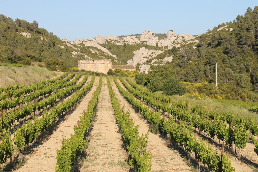 La Montagute Villa Thezan-des-Corbieres Esterno foto