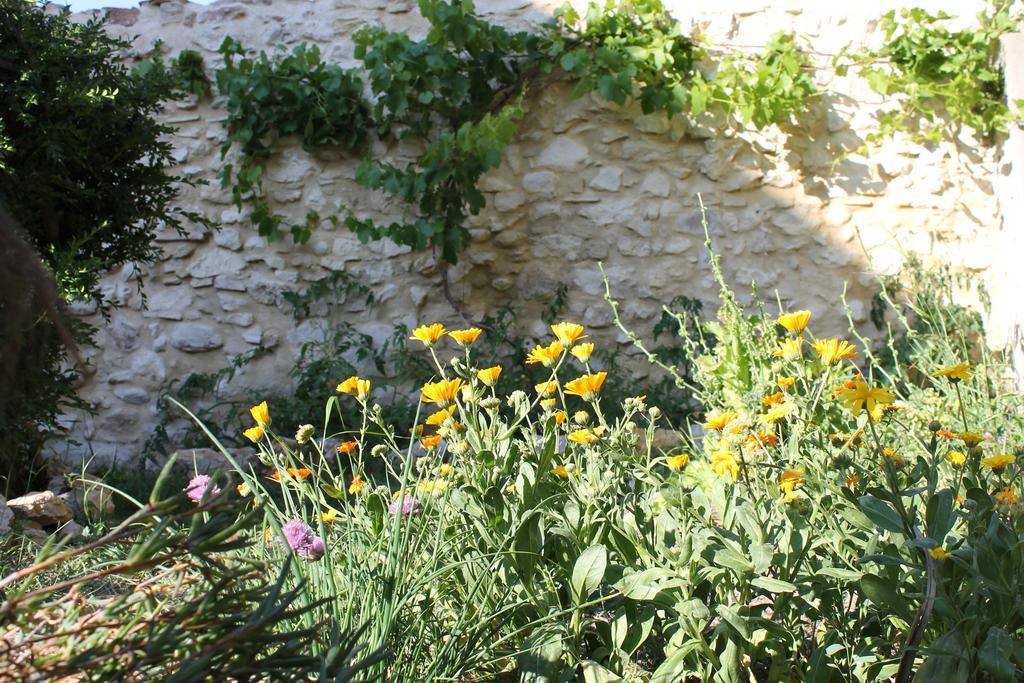 La Montagute Villa Thezan-des-Corbieres Esterno foto